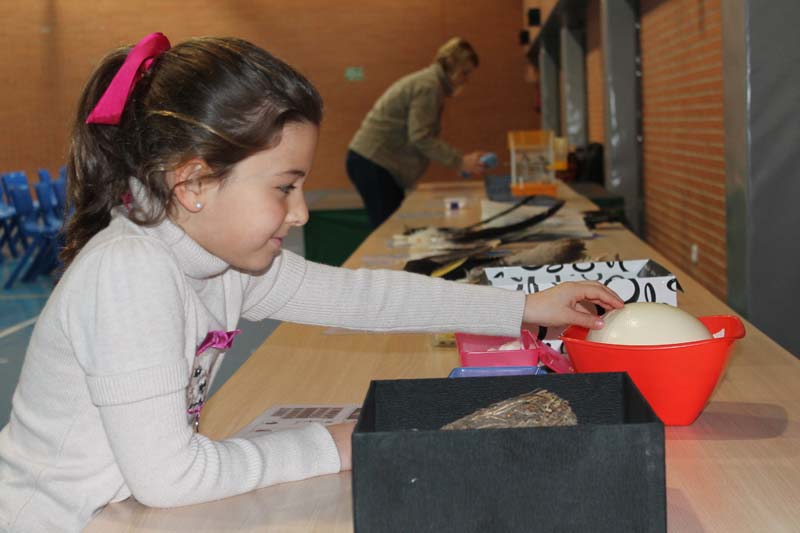 Semana Ciencias en Los Tilos